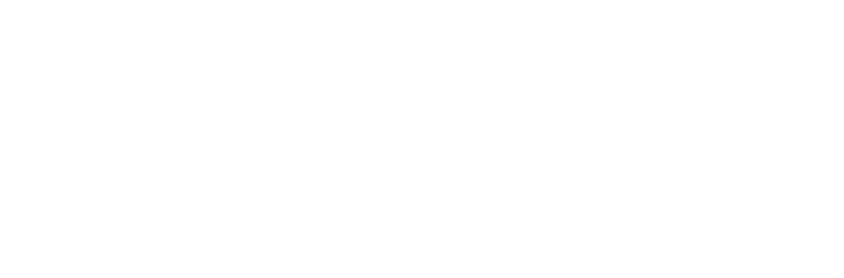 Logo branco Pinho Neurodesenvolvimento
